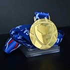 Copa America Usa 2024 Champions Medal Come With Ribbon Final Medal