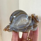 Agate Snail Stone Carving 263g Carved Crystal Resilient Snail - Brazil