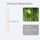 1000 Natural Bamboo Toothpicks  Durable Smooth Eco-friendly Disposable For Party