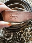 Champion Turf Leather Show Halter Lead W  Chain  flawed 