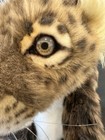 Plush Hansa Stuffed Baby Leopard Cub Realistic