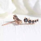 2ct Round Cut Lab Created Black Diamond Women Stud Earrings 14k Rose Gold Plated