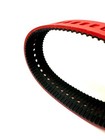 Zy65011 Bluecrest pb Feed Belt Replacement