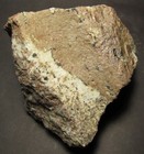 Museum Tephroite Exsolution Willemite  Bore Hole Fluorescent Mineral Sterl Hill