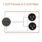 1 To 25 ft Mogami 2534 Cable Neutrik Xlr-female To Dual Xlr-male Splitter Audio