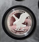 2025 S Limited Edition Proof Silver Eagle Without Box As Pictured Fast Shipping 