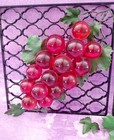 Vintage Mcm Red Lucite Acrylic Grapes Mid Century Modern Wall Hanging Decor Pair