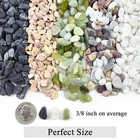 2 Lbs Natural Mixed Color Pea Gravel Pebbles  3 8 Inch Decorative Rocks For S   