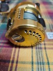 Shimano Calcutta Conquest 300  Baitcasting Reel - Gold