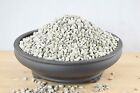 Garden Pumice Horticultural  3  Gallons   fast Ship  High Quality Free Shipping 