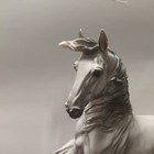 Breyer Horse Alborozo 2008 Breyerfest Celebration Model  711108 Mold Destroyed
