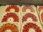 Lot Of 20 5    Variegated And White Crochet Granny Squares Blocks  Floral Pattern