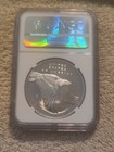 2017 P American Liberty 1 Oz Silver Medal Reverse Proof Ngc Pf69 Ucam Er