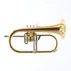 Jupiter Xo Model 1646rl Professional Flugelhorn Sn Ya12298 Open Box