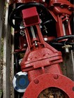 8    Os y Flanged Gate Valve