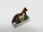 Kentucky Horse Park Pin Vintage Collectible