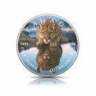  2026 Canada 1oz 9999 Silver Bu Silent Reflection The Watchful Cougar Colouriized
