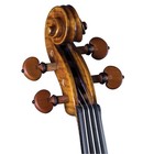 Cremona Sv-800 4 4 Premier Fittings  Thomastik Dominant Strings