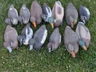 Vintage Flambeau Duck Decoy Lot 13 Mallard Bluebill Pintail Teal Hunting Decoys