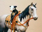 Painted Ponies - 2025 June 25 Release - Hitchhiker  - 1e   Use Coupon