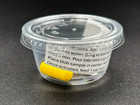 Mini Blob Kit - Slime Mold Experiment Project - Physarum Polycephalum