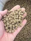 New Floating Fish Food For Pond Catfish And Other Pond Species 32  Protien Usa