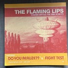 Flaming Lips Yoshimi Battles The Pink Robots 12    X 12    Promo Poster Flat 2002