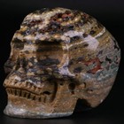 3 0  Ocean Jasper Carved Crystal Skull  Realistic  Crystal Healing