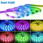 Wholesale Led Strip Lights 3528 5050 5m 10m 15m 20m Rgb Smd 12v Roll Waterproof