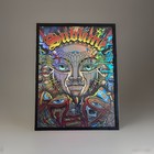 Sublime   Until The Sun Explodes  Limited Rainbow Foil Poster 18x24 Framed  new