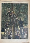Small Journal 1901 No  564 Baptism Moved - Picked From A Tree