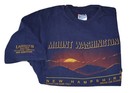 Vintage Travel Tees  Lot Of 6  va   Men s Xl  Single Stitch  1990 s us States