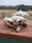 Vintage John Perry 2 Dolphins Plus Baby Sculpture Burled Wood Base