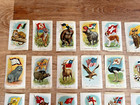 1900 s Tobacco Silks Lot Of 55 Cigarette Silk Set Animals W  Flags Complete Set