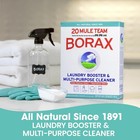 20 Mule Team All Natural Borax Laundry Detergent Booster   Multi-purpose