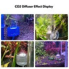 J-star Co2 Diffuser Aquarium Aquarium Co2 Diffuser With U-shape Connecting Tu