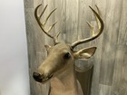 Gemmy The Buck Animated Singing Talking Deer Wall Mount  Read   as Is But Works 