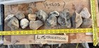 4 Pound A Lot Montana Agate Rough