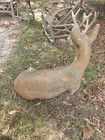 Vtg 1960   s Large Lawn garden  Cement Concrete Iron Buck Deer Statue