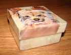 Capiz  Yorkshire Terrier  shell  Air-brushed Trinket  Jewelery Box  1107  Yorkie