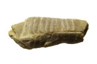 Devonian Machaeridian Armored Worm Fossil Lepidocoleus Cravat Oklahoma Rare