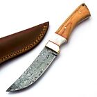 Custom Made Damascus Hunting Knife - Hand Forged Damascus Steel Sharp Blade 246