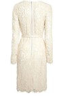 Next Lace Long Sleeve Work Wedding Party Dress With Belt Size 6-8 Bnwt Rrp   60