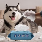 Pet Wipes For Dog Puppy Cat Bath Clean Grooming Deodorizing Hypoallergenic Wipes