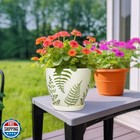 Mpotto Ceramic Pot For Plants - 6 8 Inch Plant Pot Indoor With Drainage Hole 