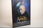 Original 1998 La Nouba Cirque Du Soleil Poster Framed Walt Disney World
