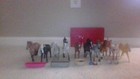Lot Of 9 Collecta   1 Schleich Horse And Accessories 
