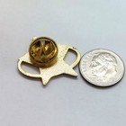 Vintage Service Star Lapel Pin Goldtone Five Point Star Oval Recognition Award
