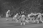 Jim Bakken Original 35mm Negative Aug 21 1976 St Louis Cardinals