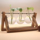 Plant Propagation Station 3 Bulb Glass Vase With Wooden Stand Hydroponic Planter